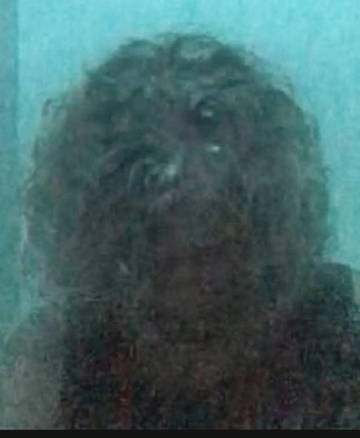 Manifesting Indigenous Spirit Sitting for Physical Mediumship